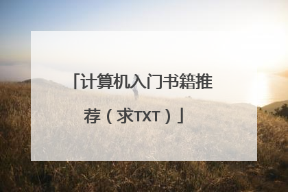 计算机入门书籍推荐(求TXT)