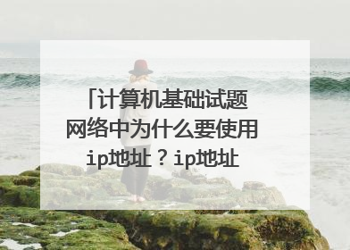 计算机基础试题 网络中为什么要使用ip地址?ip地址有什么样的格式