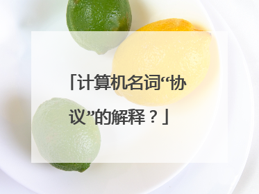 计算机名词“协议”的解释?