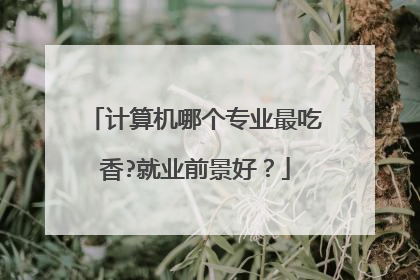 计算机哪个专业最吃香?就业前景好?