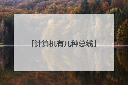 计算机有几种总线