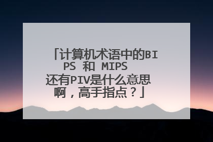 计算机术语中的BIPS 和 MIPS 还有PIV是什么意思啊,高手指点?