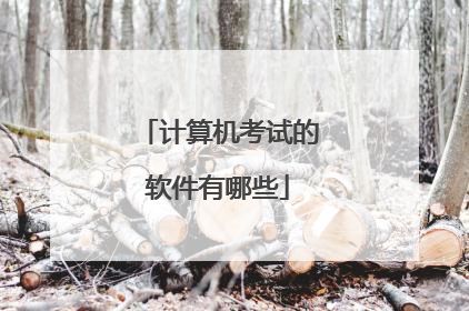 计算机考试的软件有哪些