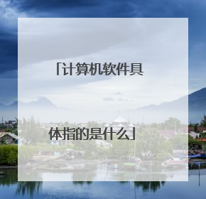 计算机软件具体指的是什么