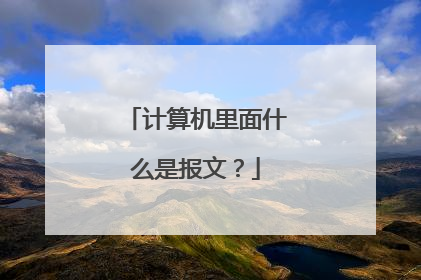 计算机里面什么是报文?