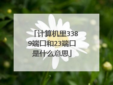 计算机里3389端口和23端口是什么意思