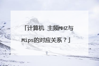 计算机 主频MHZ与Mips的对应关系?