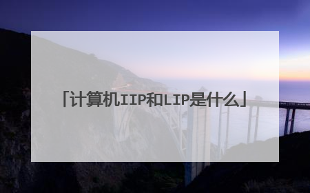 计算机IIP和LIP是什么