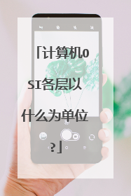 计算机OSI各层以什么为单位?