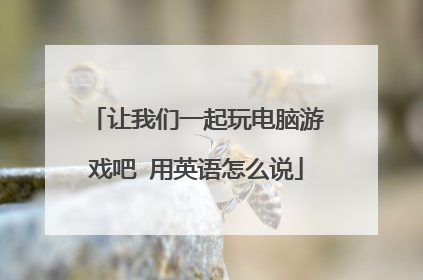 让我们一起玩电脑游戏吧 用英语怎么说