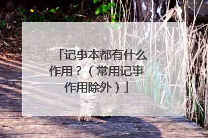 记事本都有什么作用?(常用记事作用除外)