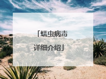 蠕虫病毒详细介绍