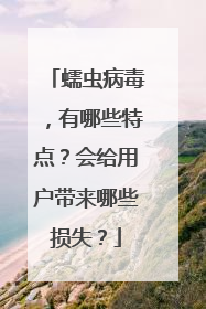 蠕虫病毒,有哪些特点?会给用户带来哪些损失?