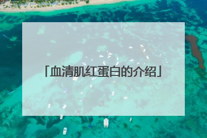 血清肌红蛋白的介绍