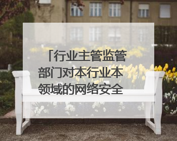 行业主管监管部门对本行业本领域的网络安全负什么责任