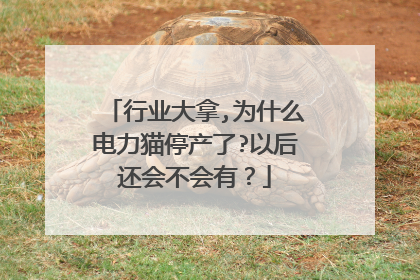 行业大拿,为什么电力猫停产了?以后还会不会有?