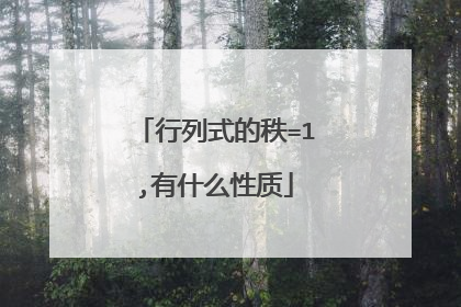 行列式的秩=1,有什么性质