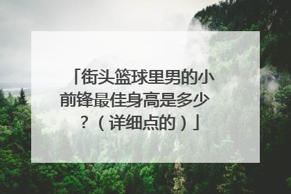 街头篮球里男的小前锋最佳身高是多少?(详细点的)
