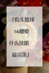 街头篮球 SG都要什么技能 最完美
