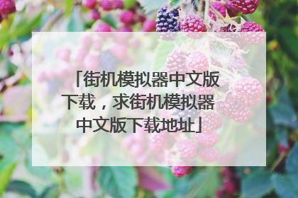 街机模拟器中文版下载,求街机模拟器中文版下载地址