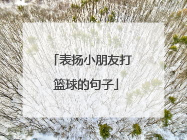 表扬小朋友打篮球的句子