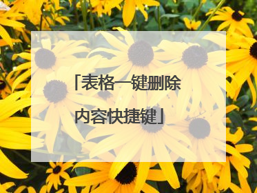 表格一键删除内容快捷键