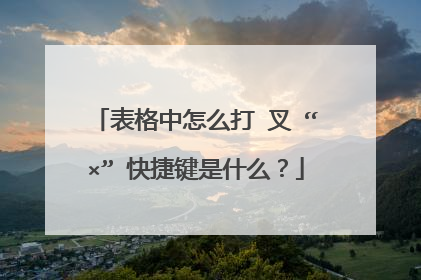 表格中怎么打 叉 “×” 快捷键是什么？