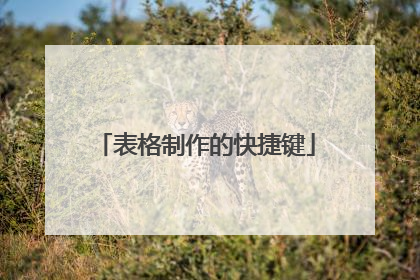 表格制作的快捷键