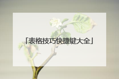 表格技巧快捷键大全