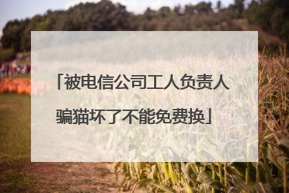 被电信公司工人负责人骗猫坏了不能免费换