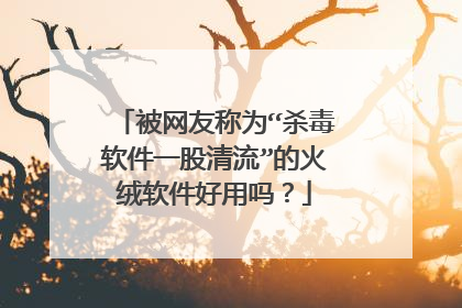 被网友称为“杀毒软件一股清流”的火绒软件好用吗？