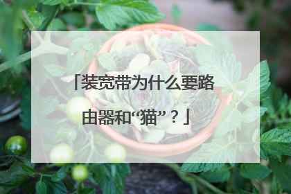 装宽带为什么要路由器和“猫”?