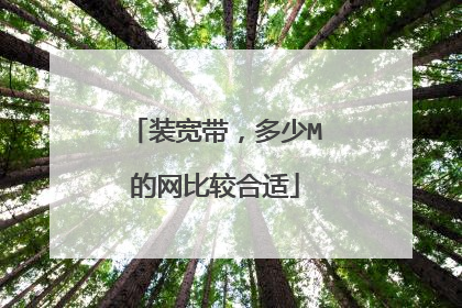 装宽带，多少M的网比较合适