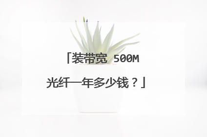 装带宽 500M光纤一年多少钱？