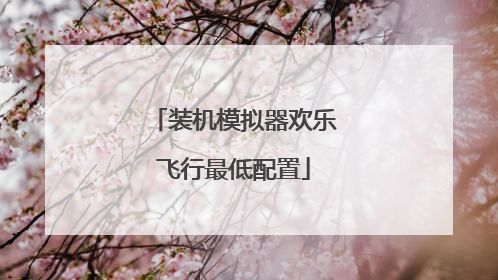 装机模拟器欢乐飞行最低配置