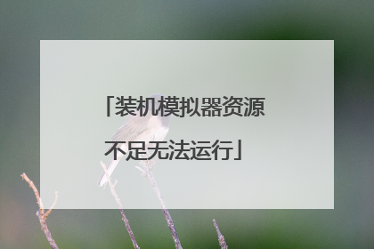 装机模拟器资源不足无法运行