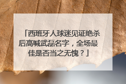西班牙人球迷见证绝杀后高喊武磊名字，全场最佳是否当之无愧？