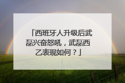 西班牙人升级后武磊兴奋怒吼，武磊西乙表现如何？