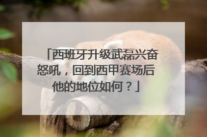西班牙升级武磊兴奋怒吼，回到西甲赛场后他的地位如何？
