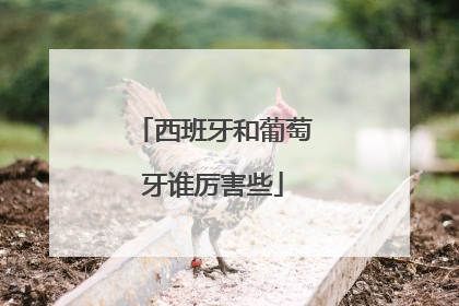 西班牙和葡萄牙谁厉害些