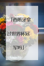 西班牙拿过世界杯冠军吗