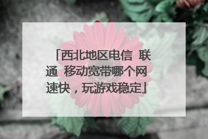西北地区电信 联通 移动宽带哪个网速快，玩游戏稳定