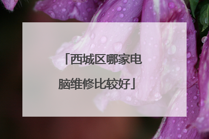 西城区哪家电脑维修比较好
