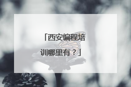西安编程培训哪里有?