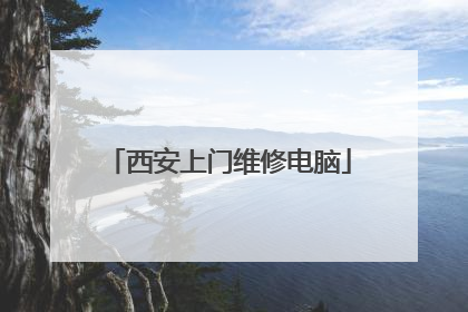西安上门维修电脑
