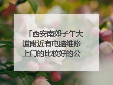 西安南郊子午大道附近有电脑维修上门的比较好的公司吗?去过的请说说情况。