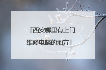 西安哪里有上门维修电脑的地方
