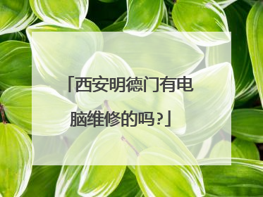 西安明德门有电脑维修的吗?