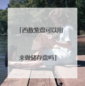 西数紫盘可以用来做储存盘吗
