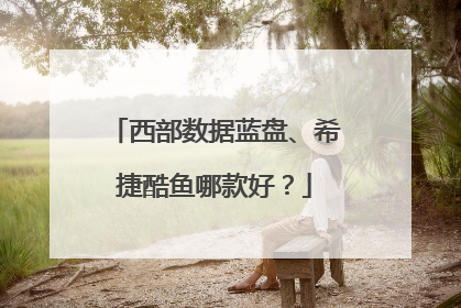 西部数据蓝盘、希捷酷鱼哪款好?
